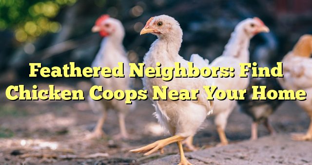 Feathered Neighbors: Find Chicken Coops Near Your Home 